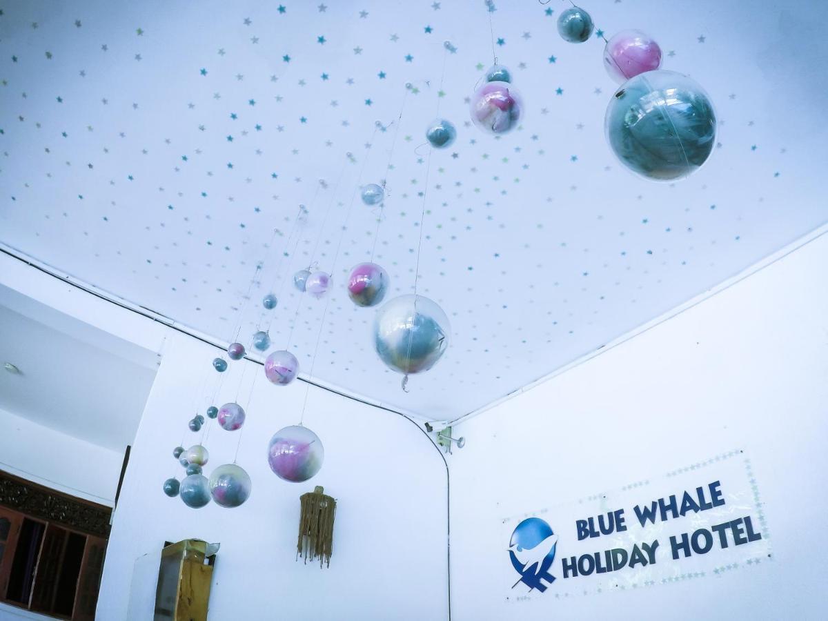 Mirissa Blue Whale Holiday Hotel Exteriér fotografie